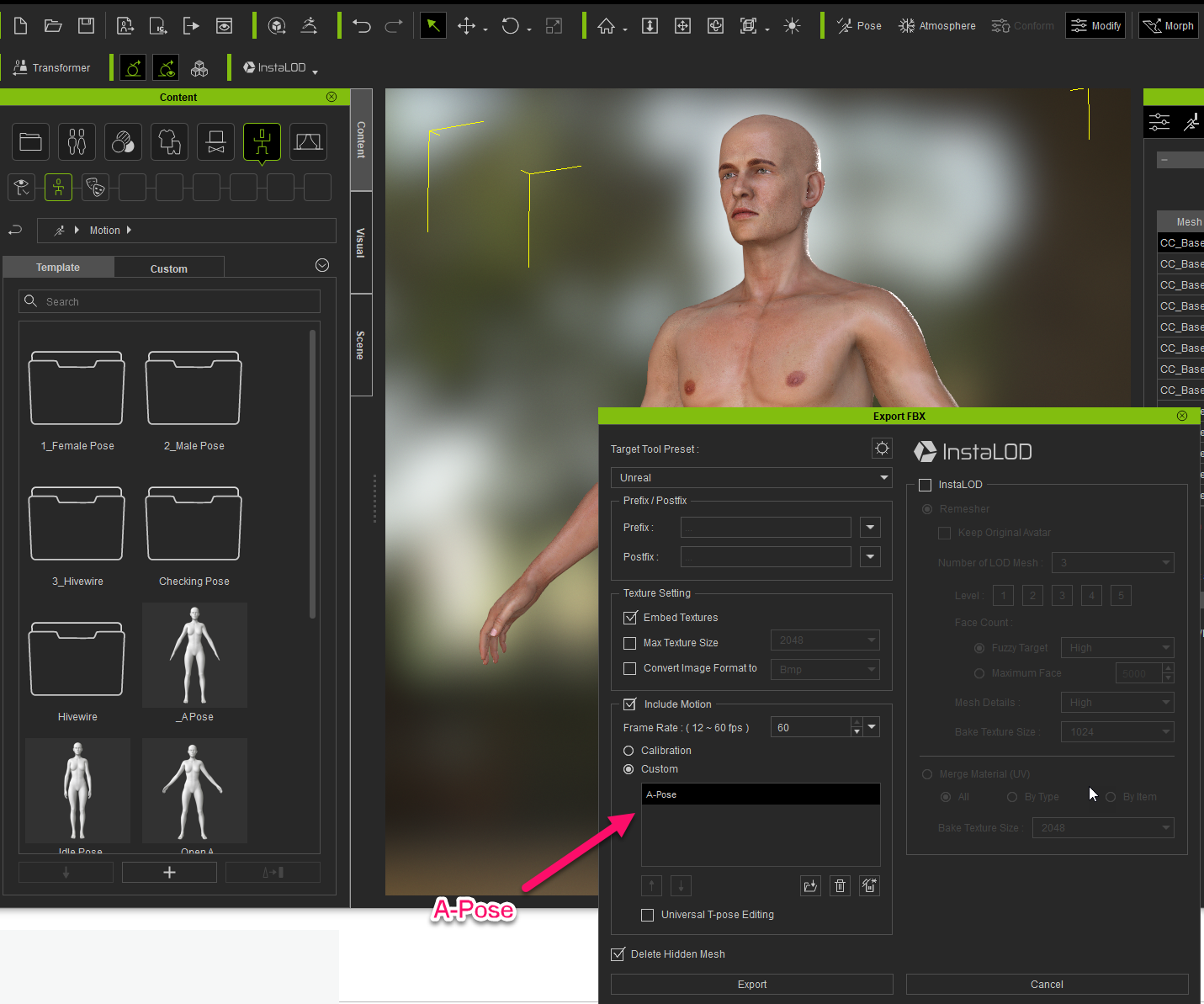 Character Creator 3 Online Manual - Universal T-pose Editing Feature