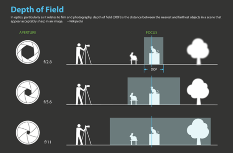 Глубина Резкости В Фотографии